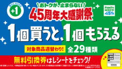 45周年 大感謝祭 開催 おトク 続々 1個購入で もう1個無料 限定 特典 見逃せない 特別 キャンペーン 今だけ