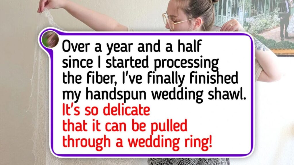 Creations That Prove Patience